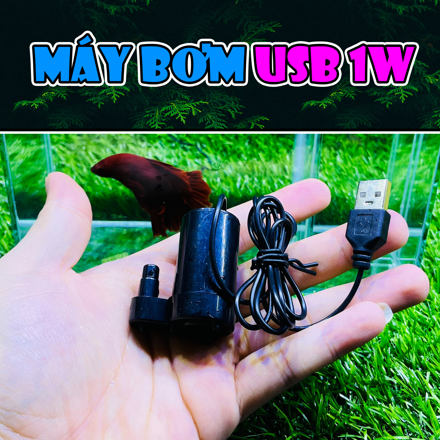 Máy Bơm Nước Mini 2in1 có đèn có lọc 2w 3w - Máy Lọc Nước VS701 Hồ Cá Cảnh hòn non bộ