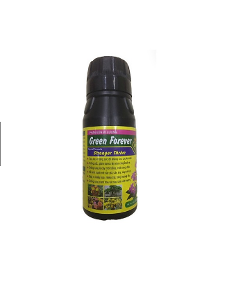Phân bón vi lượng green forever stronger thrive lọ 100ml