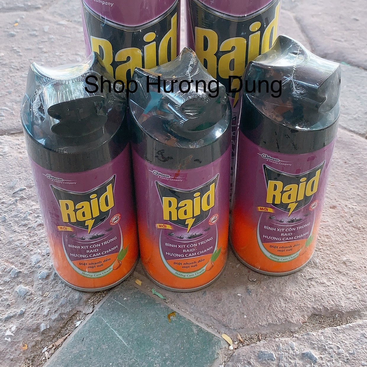 Bình xịt côn trùng muỗi gián ... Raid nhỏ 300ml