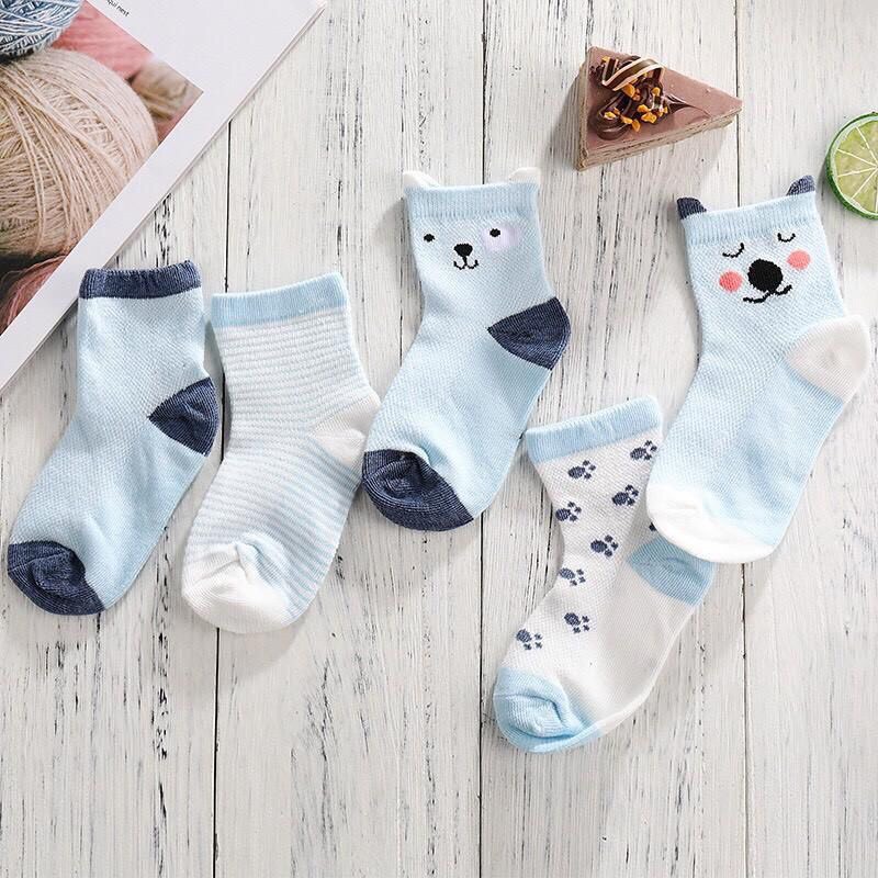 Set 5 đôi tất vớ cổ cao cho bé