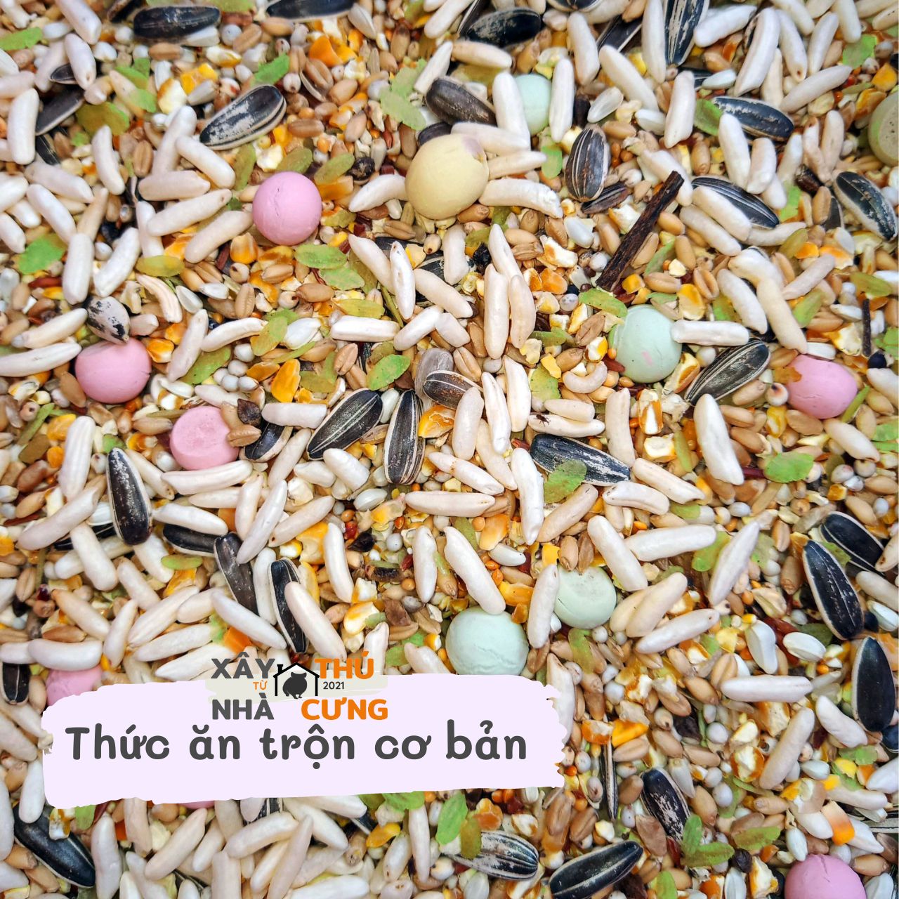 Thức ăn trộn Hamster XNTC Food 500gram (đã rang, bảo quản lâu)