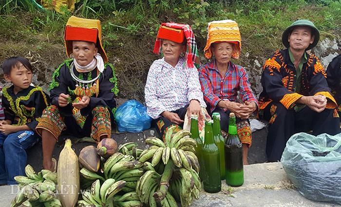Chuối hột rừng nguyên quả 1kg
