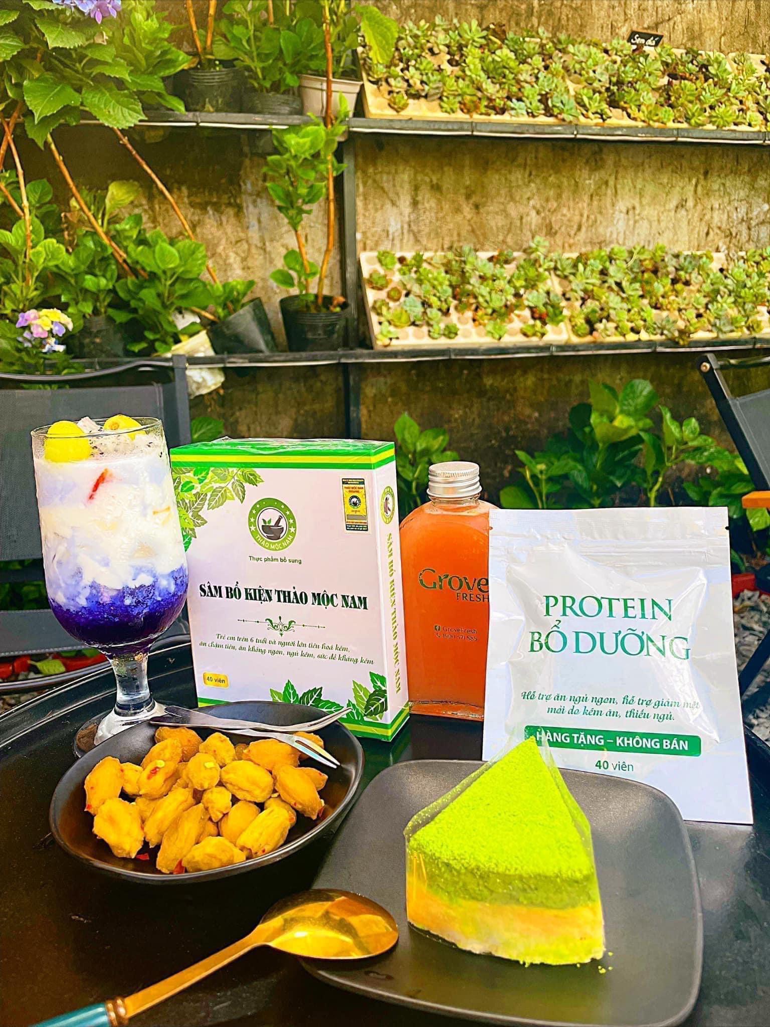 Sâm Bổ Kiện Thảo Mộc Nam - Mẫu Mới Tặng PROTEIN