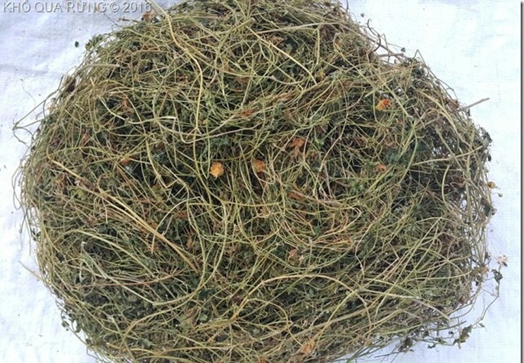 Dây - lá khổ qua rừng khô 500g