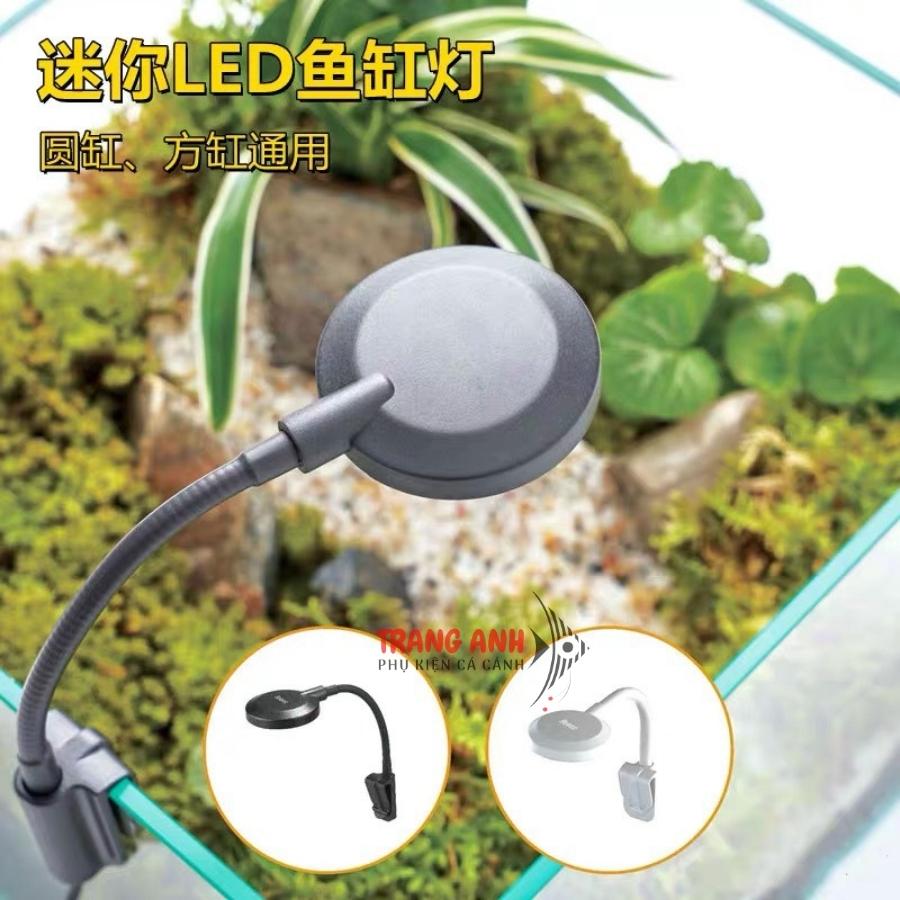 Đèn led bể cá mini Jeneca D-1S, đèn led cho hồ cá cảnh, thủy sinh (3 chế độ màu)