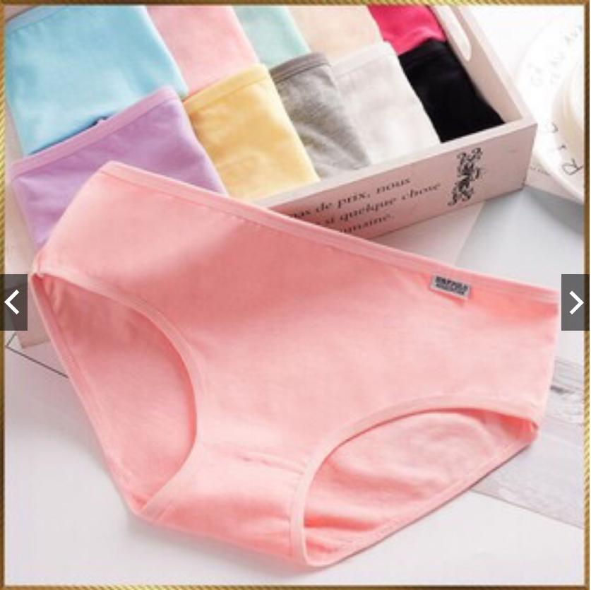 Combo 10 quần lót cotton pulo