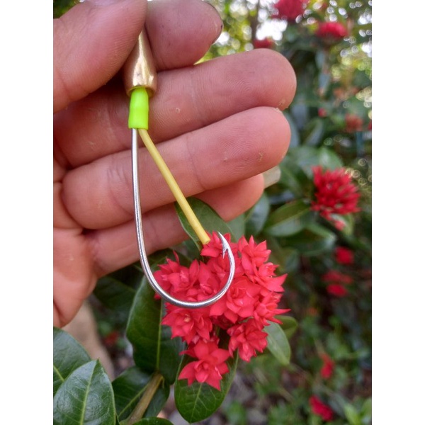 lưỡi câu cá lóc