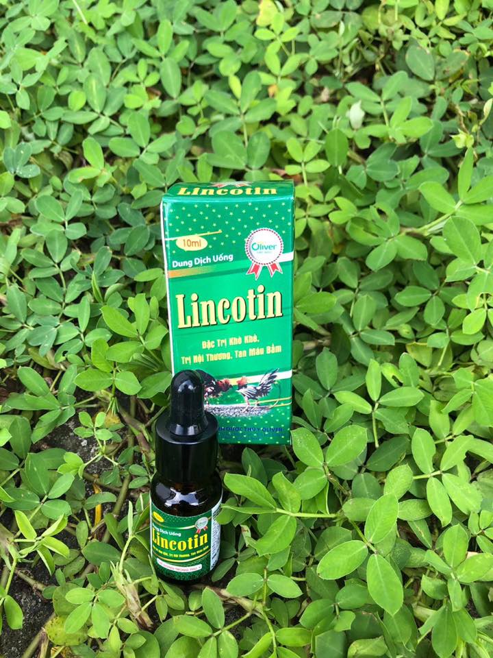 Lincotin hen khẹc, phân xanh, phân trắng, e.coli sưng phù đầu