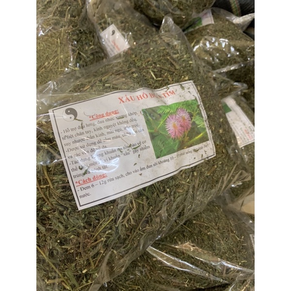 Cây xấu hổ khô