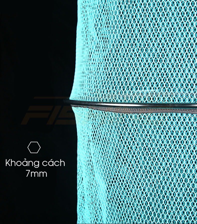 RỌNG ĐỰNG CÁ HUA XANH 2020