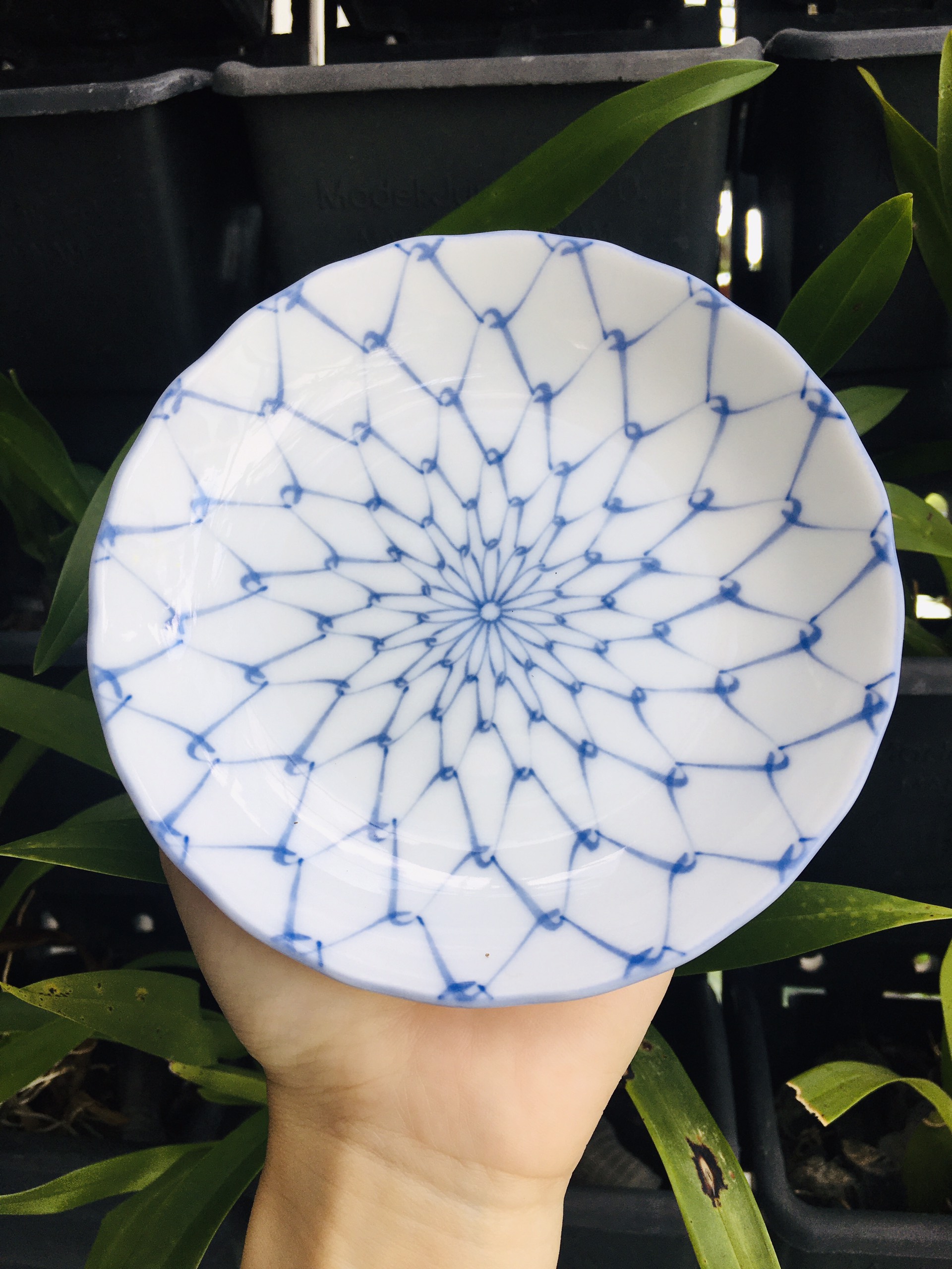 GỐM NHẬT - SET 3 ĐĨA LƯỚI MEN LAM, CHẤT SỨ TRONG ĐẸP