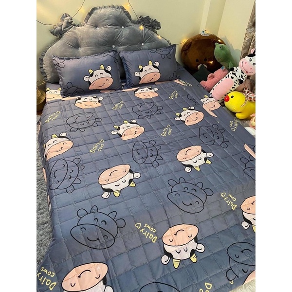 Set chăn hè 5 món cotton poly kích thước 1m2