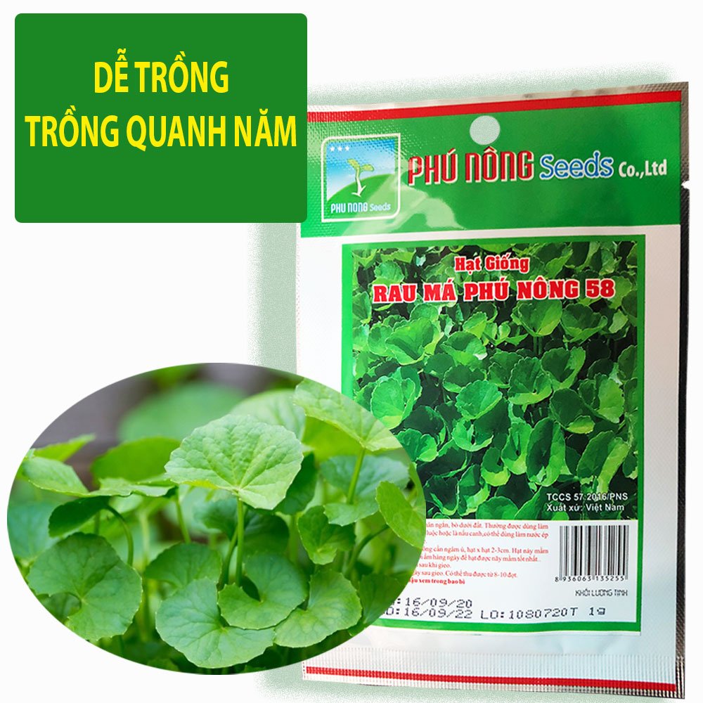 Hạt Giống Rau Má Giàu Dinh Dưỡng