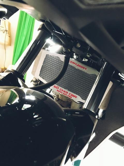 Lưới bảo vệ két nước CBR150indo ( 2016/2018/2019 ) - ĐỒ CHƠI CBR