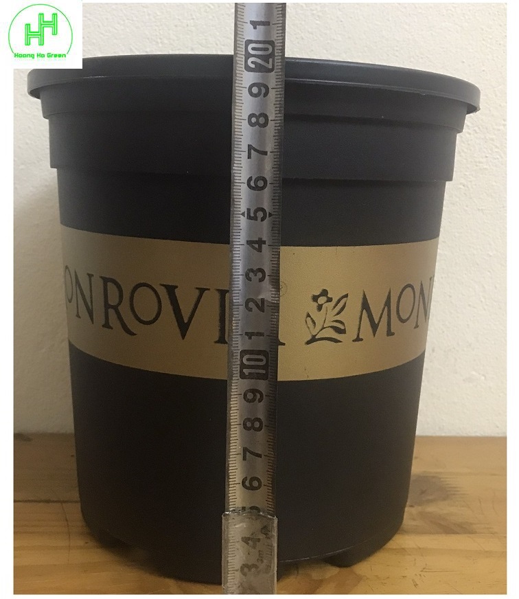 3 Chậu MONROVIA CH Garden 1.5Gal