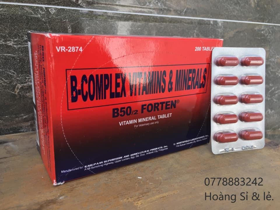 [HCM]B50/2 Forten dành cho gà đá, nở khung, bung hình.