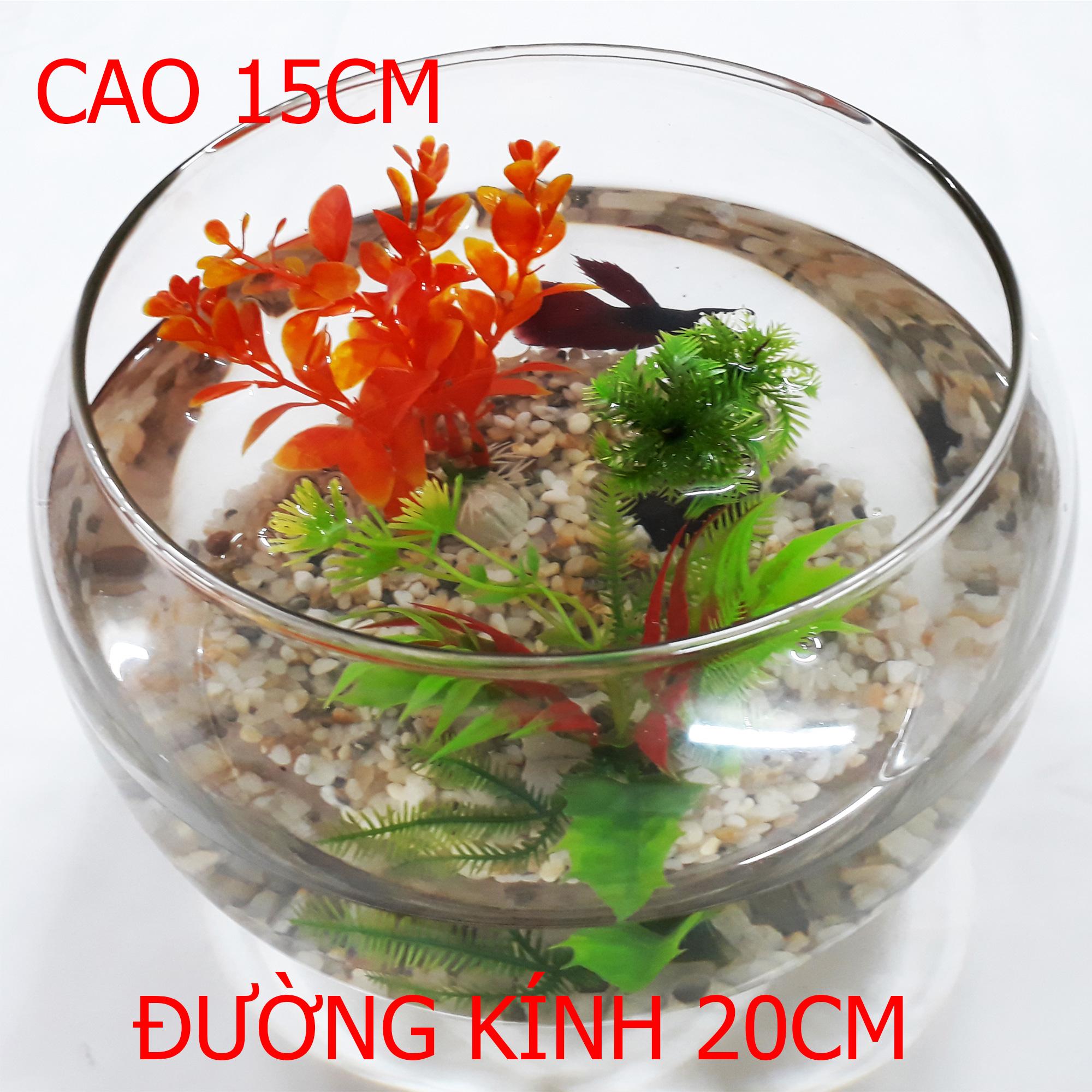 Bể Cá Tròn - Hồ Cá Để Bàn - Chậu Cá Thủy Tinh HT-2 20x20x15