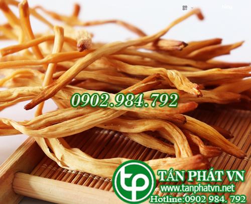 Hoa kim châm sấy khô 100g  - Tấn Phát