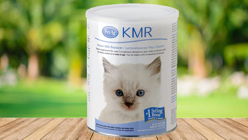 Sữa bột KMR dành riêng cho mèo con