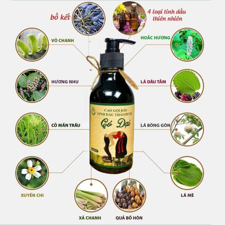 Cao gội đầu Thảo dược Cỏ dại