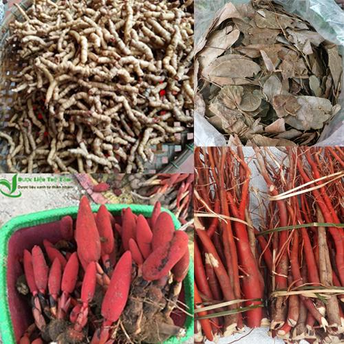 [HCM]COMBO nấm ngọc cẩu 250G ba kích tím 250G dâm dương hoắc 200G sâm cau đỏ 300G - Giúp cuộc sống vợ chồng CỰC MẠNH