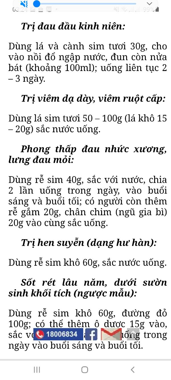 Sim ăn quả cây nhỡ