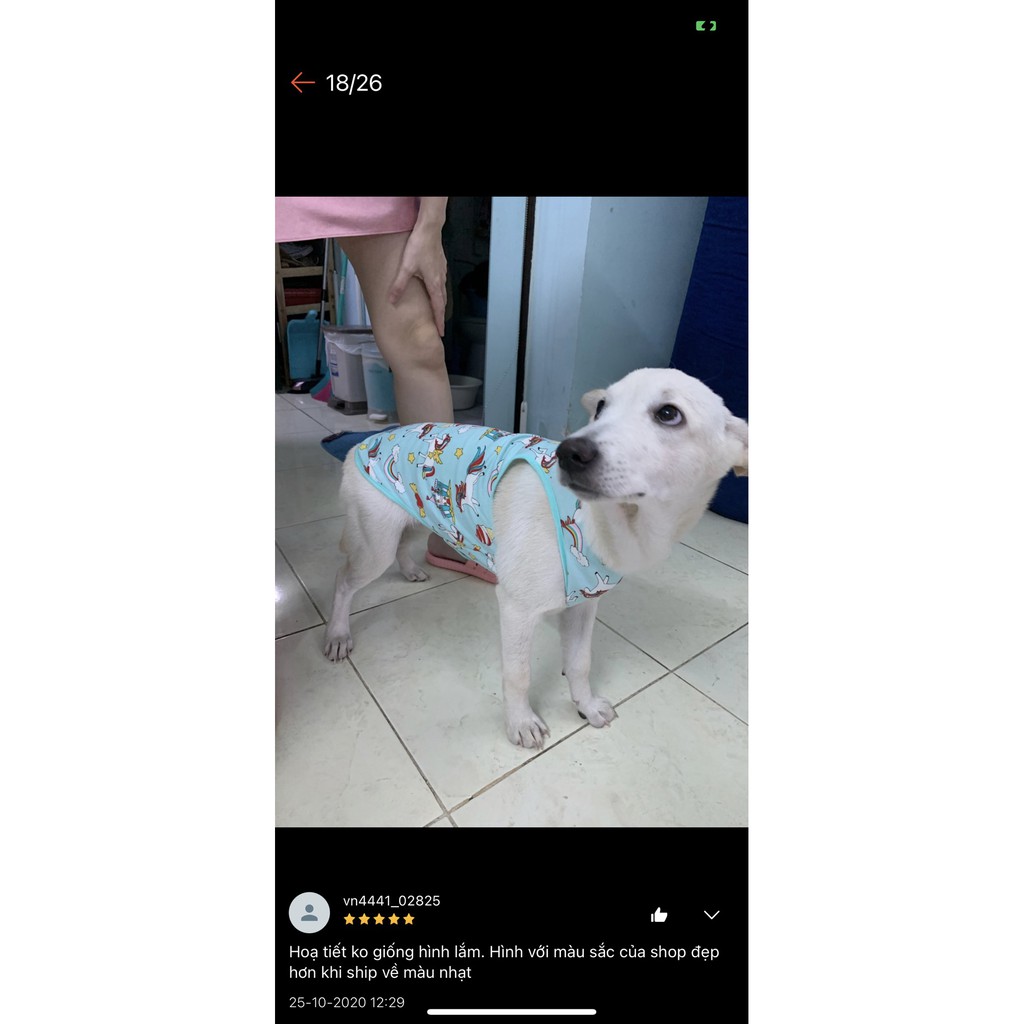 [Mã PET20K giảm 20K đơn 250K] Áo Ba lỗ Thun 4 chiều mát mẻ dành cho chó mèo ( P1)