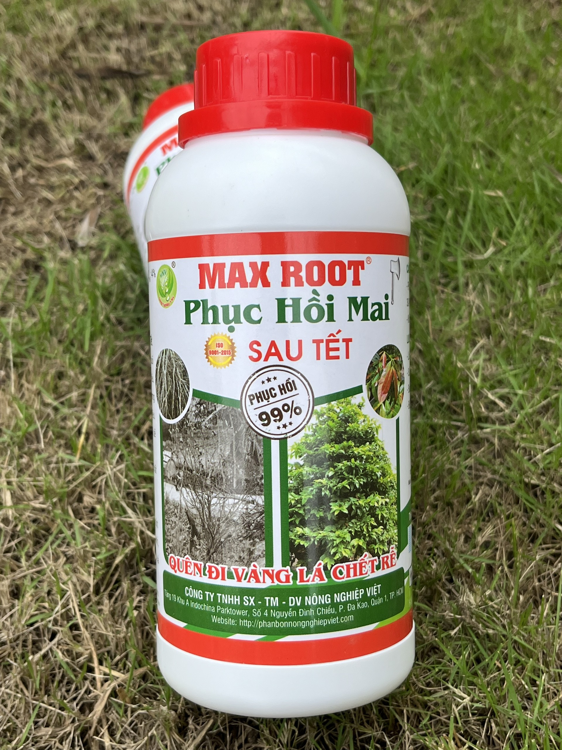 MAX ROOT _ PHỤC HỒI MAI SAU TẾT CHAI 500ML