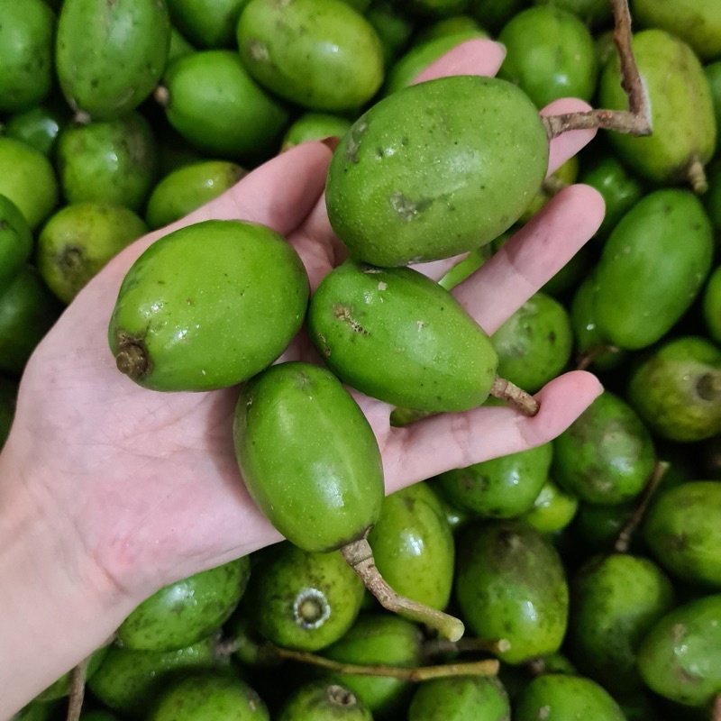 [HN] Cóc Bao Tử tươi chua giòn - giao Hỏa Tốc