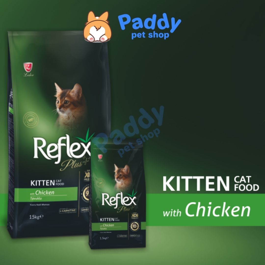 Hạt Reflex Kitten Loại Thường 2kg