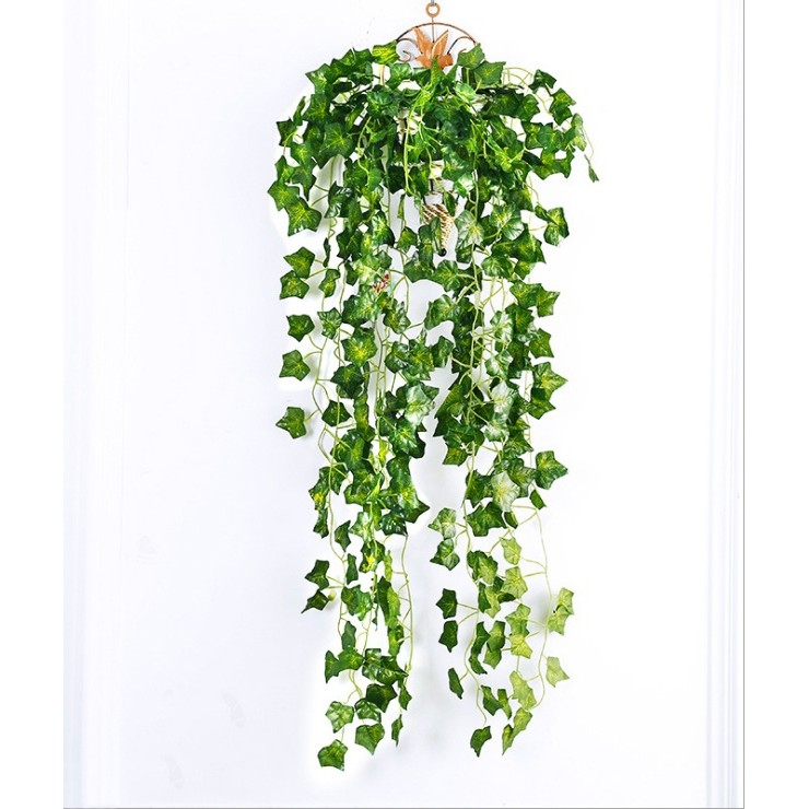 Rủ lá thường xuân treo tường dài 1m