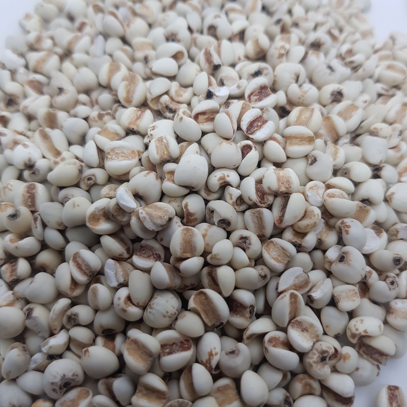 Hạt ý dĩ 100g-loại ngon,đep-SePok