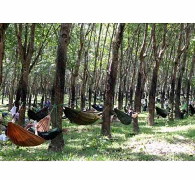 võng dù màu xanh khổ 1m4x2m2