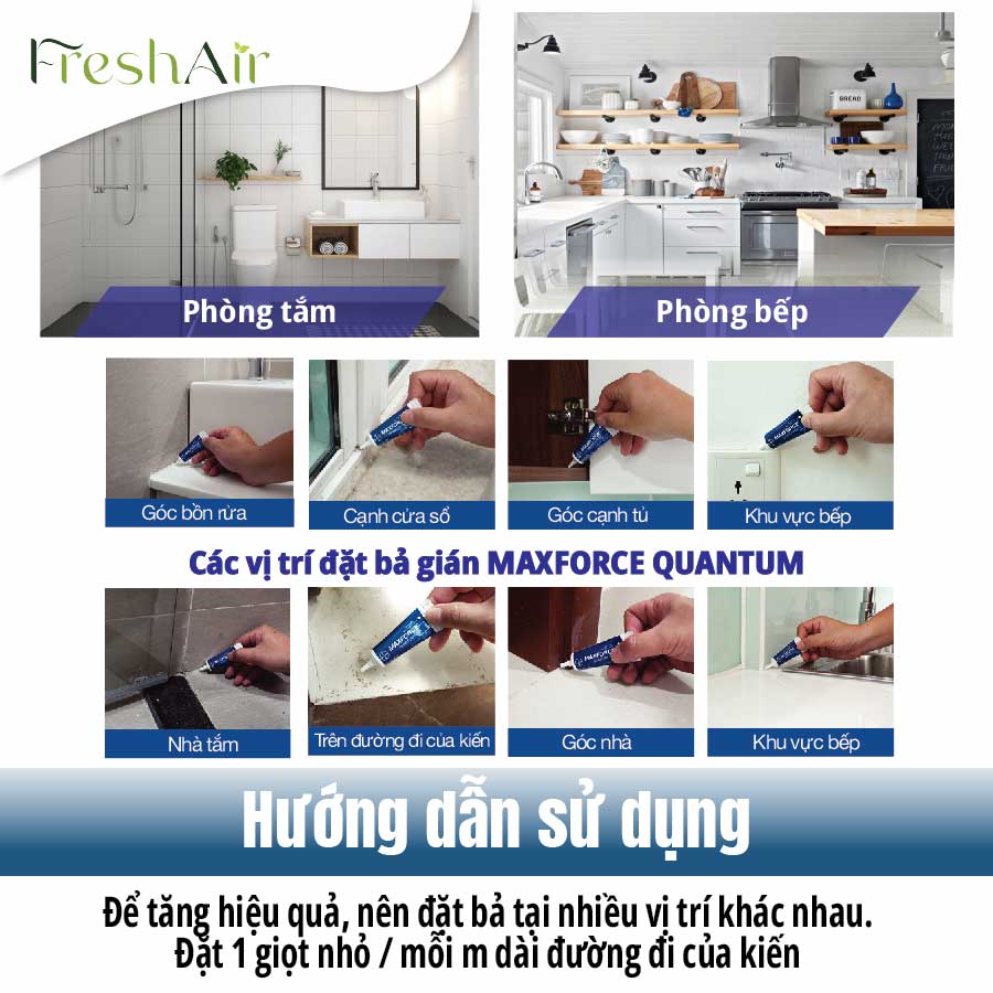 [COMBO DIỆT KIẾN+GIÁN] Maxforce Quantum Vs Blattanex Cockroch Gel, Tiết Kiệm Hơn (ANTS AND COCKROACHES CONTROL)