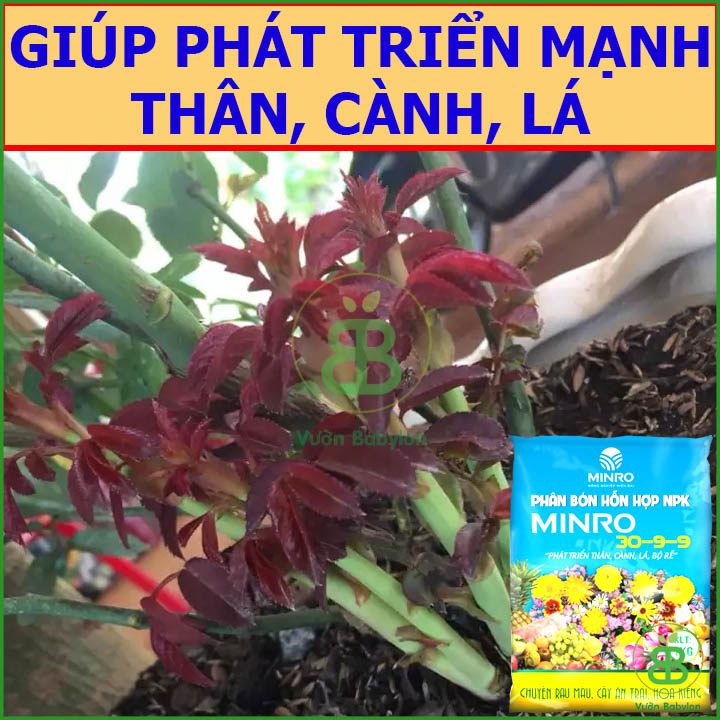 Phân Bón NPK MINRO 30-9-9 1kg (Phát Triển Thân Lá Cành)