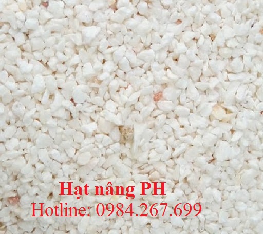 Combo Hạt nâng PH gói 5kg