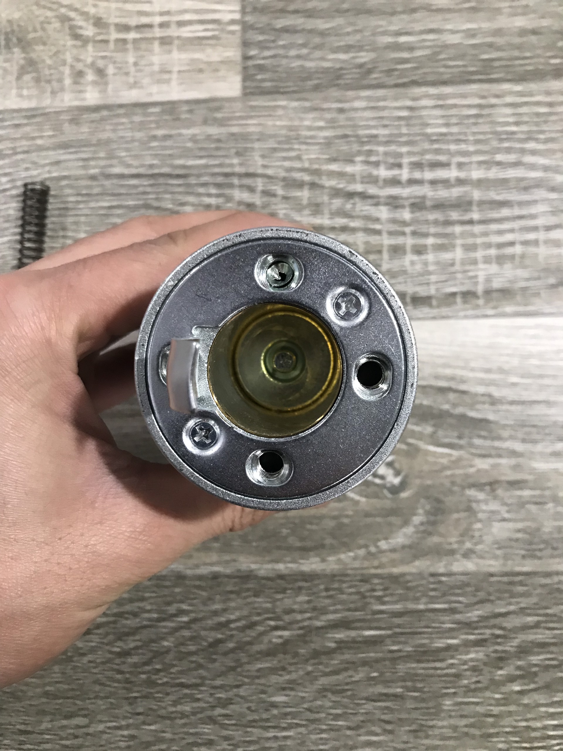 Chuột đề 1 tấn 12v 24v