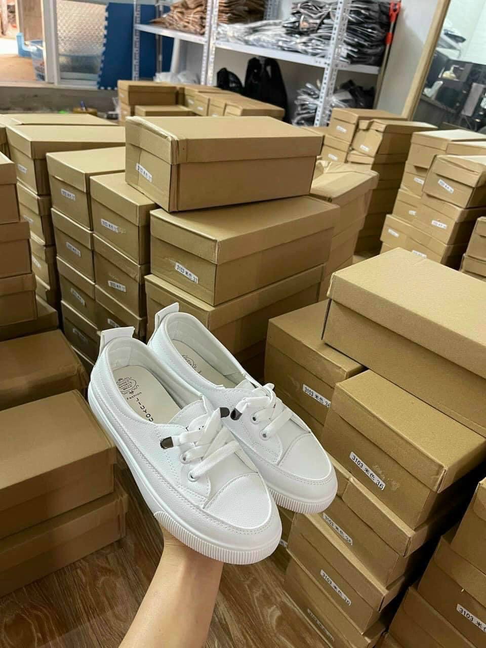giày sneaker nữ basic aaa dây dút tinh tế vải thoáng