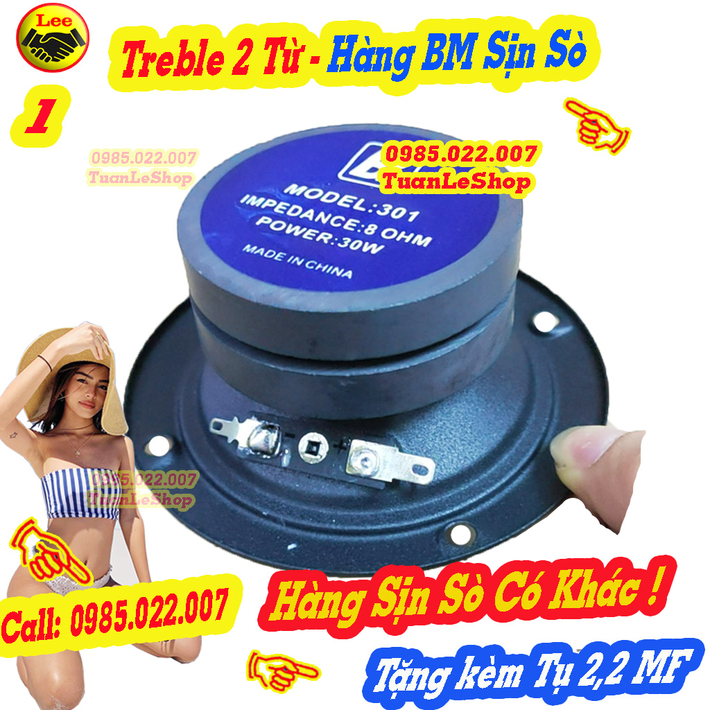 LOA TREP GIẤY BM TỪ ĐÔI HÀNG CHẤT LƯỢNG – GIÁ 01 TREBLE + TỤ 2.2MF