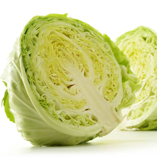 Bắp cải (1 bắp)~ 2kg