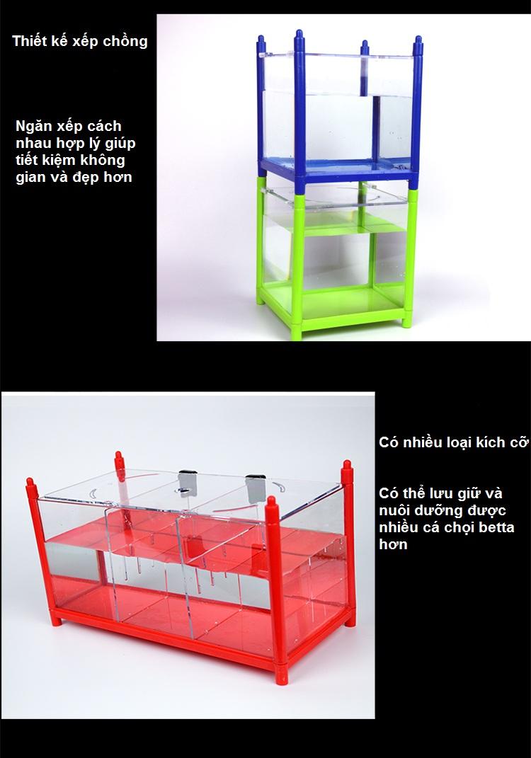 Bể ba cá chọi betta xếp tầng