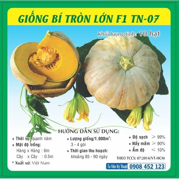 Hạt giống Bí đỏ Tròn - Bí Đỏ Hạt Đậu - Bí sáp