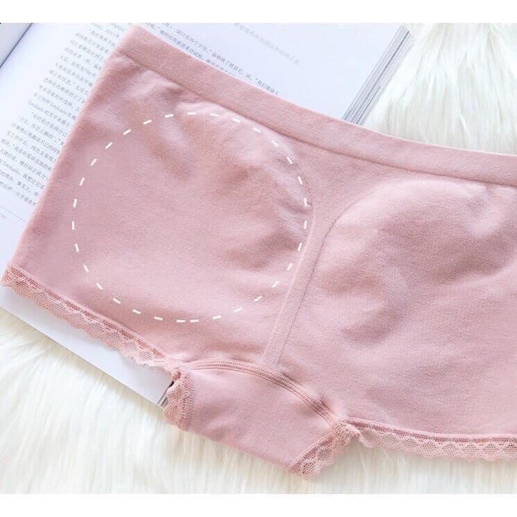 Combo 5 Quần Lót Cotton Kháng Khuẩn 1888