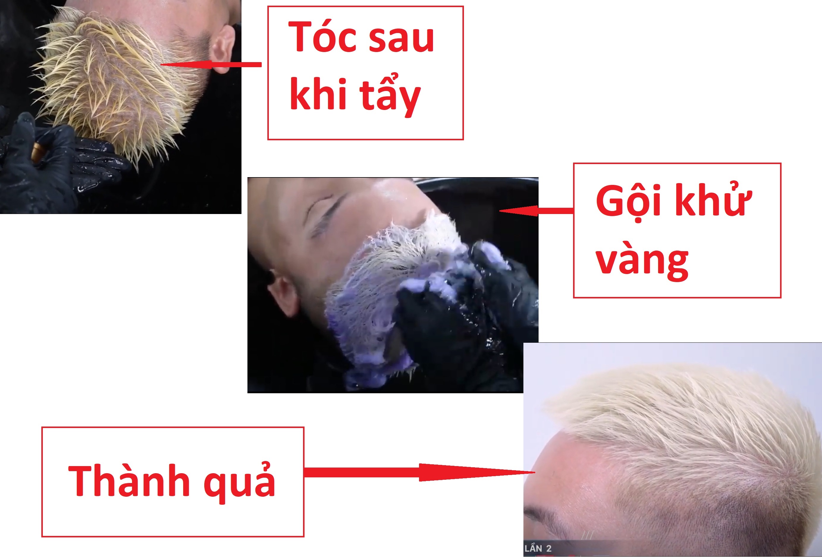 Dầu gội tím khử vàng Fanola 1000ml