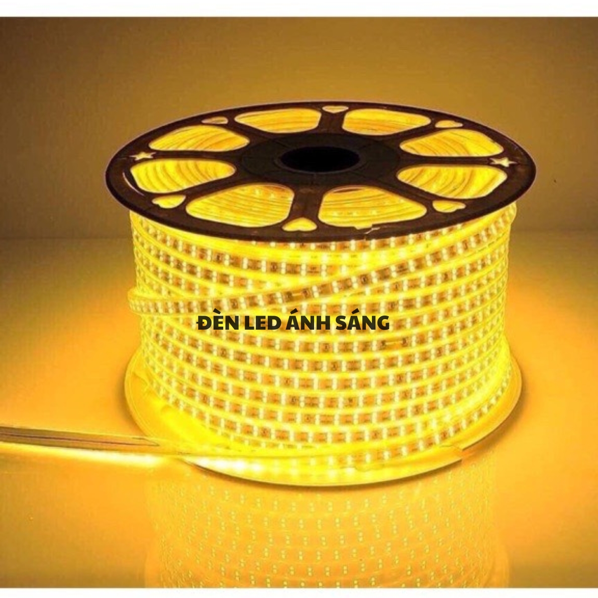 Dây LED đôi 2835 - 2 hàng bóng siêu sáng 5m - 10m