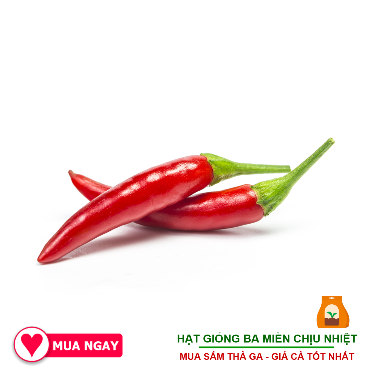 Hạt Giống Ớt Hiểm Lai Trái Chùm