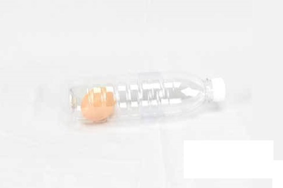 Đồ chơi dụng cụ ảo thuật : Magic eggs into the bottle