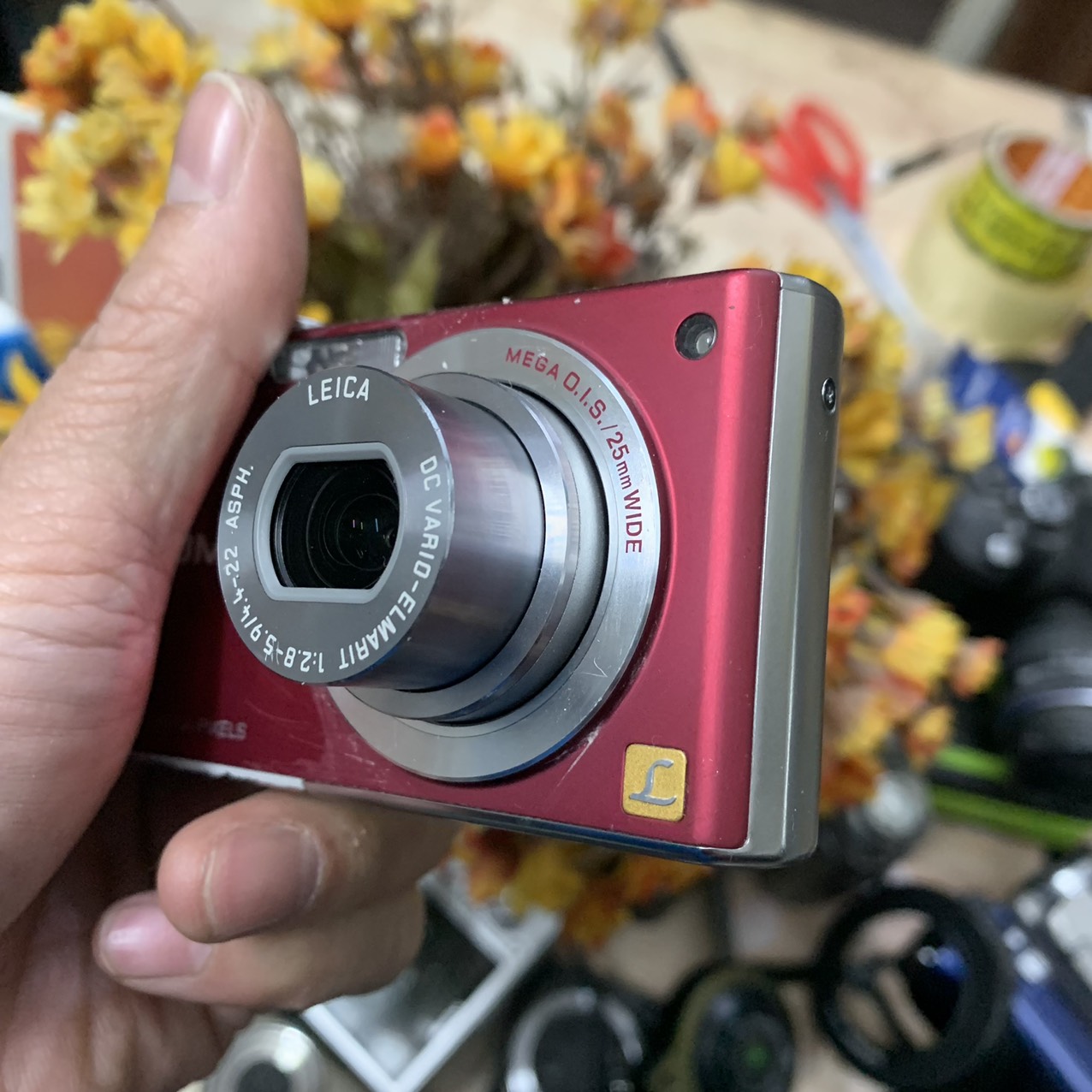 Máy ảnh Panasonic Lumix FX40