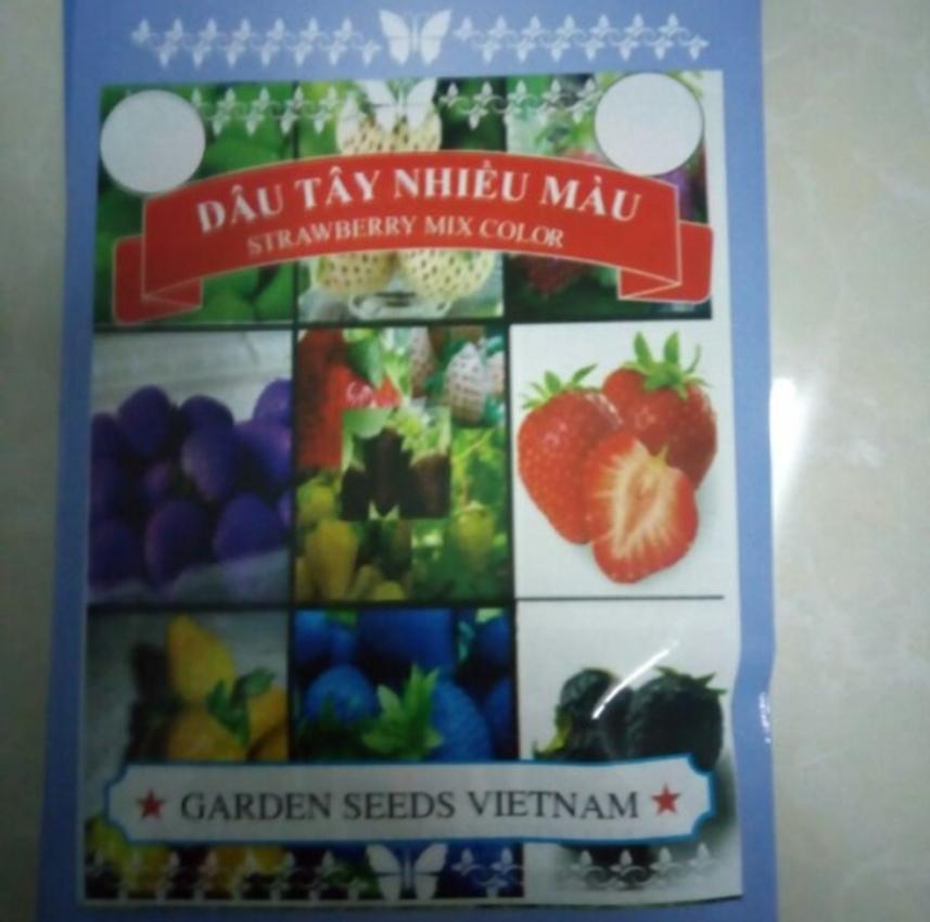 Hạt giống DÂU TÂY MIX MÀU F1
