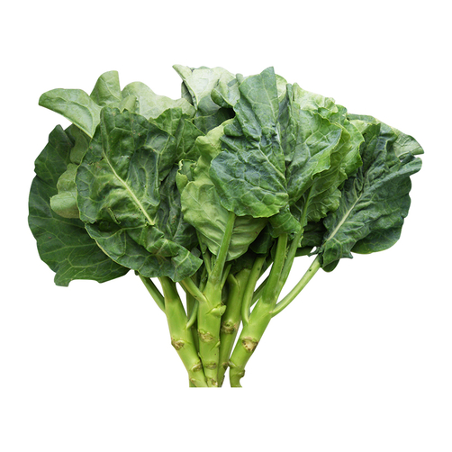 Hạt giống cải rổ cải rá cải làn chịu nhiệt gói 10g giá rẻ